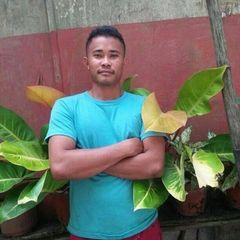 Profile Picture of stephenesamudio (@stephenesamudio) on Tiktok