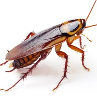 Profile Picture of Tyrone Knox (@tyrone-knox-5) on Quora