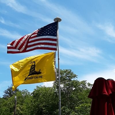 Profile Picture of Hillbilly From The Holler (@PaulFortunato5) on Twitter