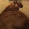 Profile Picture of flopper (@@floppa6) on Tiktok