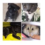 Profile Picture of Hank,frank,flo,tinkerbelle (@hank.frank.flo.tinkerbelle) on Instagram