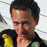 Profile Picture of Vincent Russell (@zebravink1zebrafinch) on Instagram