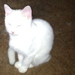 Profile Picture of Kimberly Wochele (@kimmerzann) on Instagram