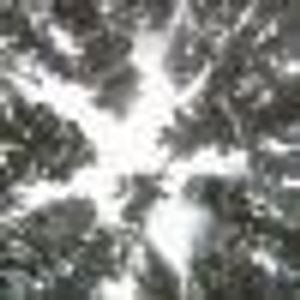 Profile Picture of Felipe Morelli (@258950306) on Myspace