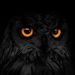 Profile Picture of Kim Fama (@fakiann64) on Pinterest