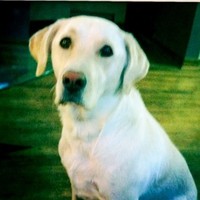 Profile Picture of Jeffrey Orr - Leh Faculty (@jeffrey-orr-leh-faculty) on Quora