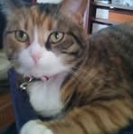 Profile Picture of Brenda Runge (@brenda.runge.749032) on Facebook