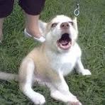 Profile Picture of Alisha Heitmann (@alisha.heitmann) on Facebook