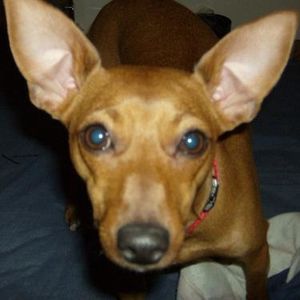 Profile Picture of Caroline Heney (@sexy_babe53) on Myspace