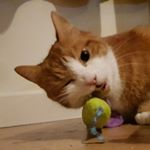 Profile Picture of George Corkery (@george.corkery) on Instagram