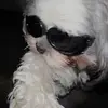 Profile Picture of Julia🦋 (@juliaflowers) on Tiktok