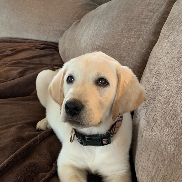 Profile Picture of Beth Mozzone (@bmozzone) on Poshmark