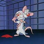 Profile Picture of Scott Plunkett (@plunkettscott) on Instagram