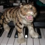 Profile Picture of Andrew Morganti (@andrew.morganti) on Facebook