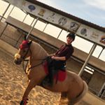 Profile Picture of Daoud Faroun (@faroundaoud) on Instagram