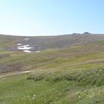 Profile Picture of Barbara Taylor (@nicolepitzerabjo) on Instagram