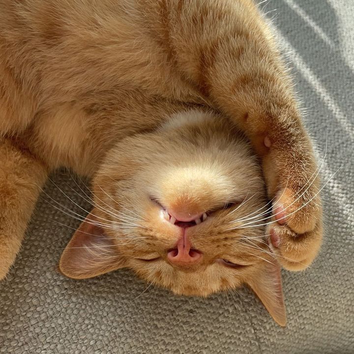 Profile Picture of monamertens (@monamertens) on Tiktok