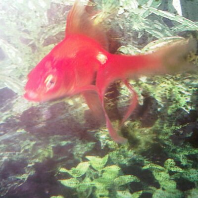 Profile Picture of Jon Boye (@boye_Jon) on Twitter