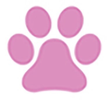 Profile Picture of Wagytail (@WagytailHarness) on Twitter