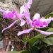 Profile Picture of Luz Amparo Arbeláez Bernal (@luzamparoarbele) on Pinterest