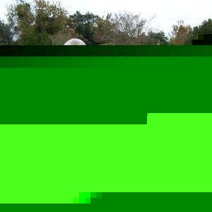 Profile Picture of David Bellerose (@dbeller1) on Myspace