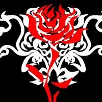 Mackenzie Lesher - Quora Profile Picture of Mackenzie Lesher (@mackenzie-lesher) on Quora