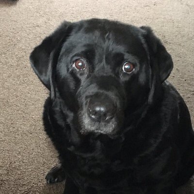 Profile Picture of Julie JFT96 (@jdowd612) on Twitter