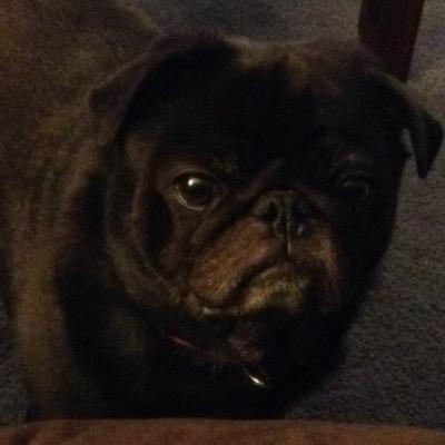 Profile Picture of Darling (@Deedar40Lucas) on Twitter