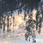 Profile Picture of Kevin Bronner (@kevinbronner1) on Instagram