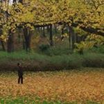 Profile Picture of Matthieu Wolmark (@matthieuwolmark) on Instagram