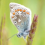 Profile Picture of Peter Bainbridge (@pete bainbridge) on Flickr