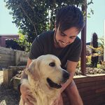 Profile Picture of Andrew Willcox (@wilco_4) on Instagram