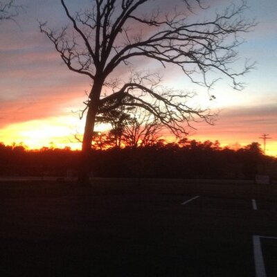 Profile Picture of Laurie Y. Clay (@rftwsrac2012) on Twitter