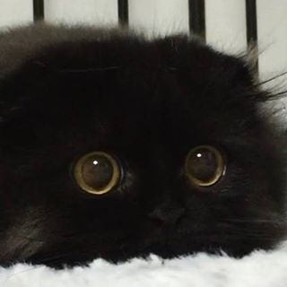 Profile Picture of Sami Fowler (@Sami-Fowler) on Facebook