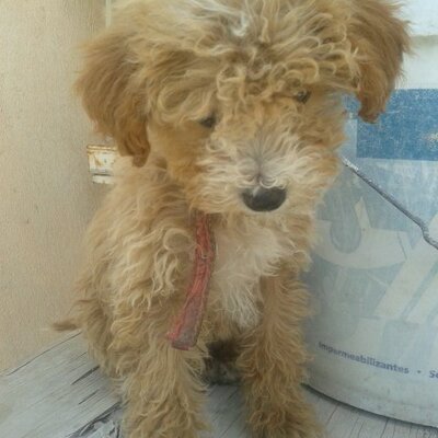 Profile Picture of Baldesss (@@ben_balderas) on Twitter