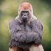 Profile Picture of Scott Cleland (@scott.cleland.581) on Facebook