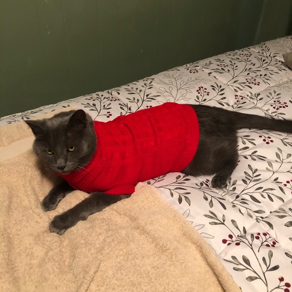 Profile Picture of Joseph Tepley (@josephtepley) on Poshmark