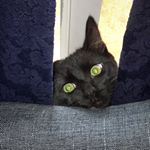 Profile Picture of Ocy James Sepulveda-Moreno (@ocyjames) on Instagram