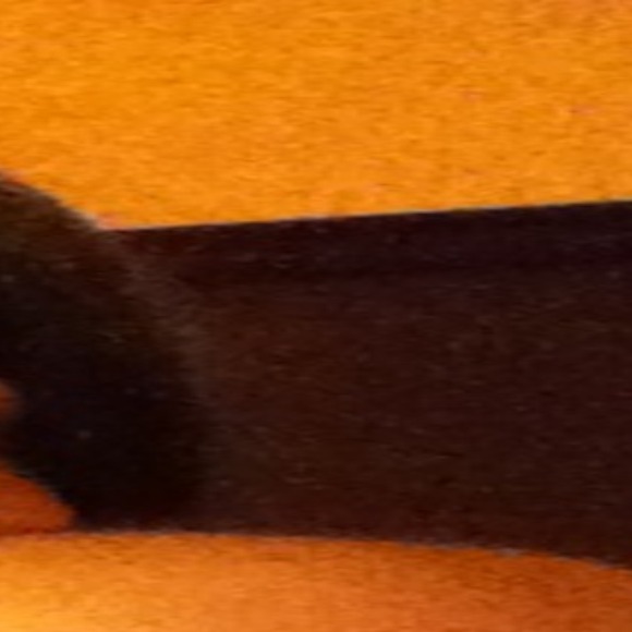 Silvia Mcelvany - Poshmark Profile Picture of Silvia Mcelvany (@smcelvany) on Poshmark