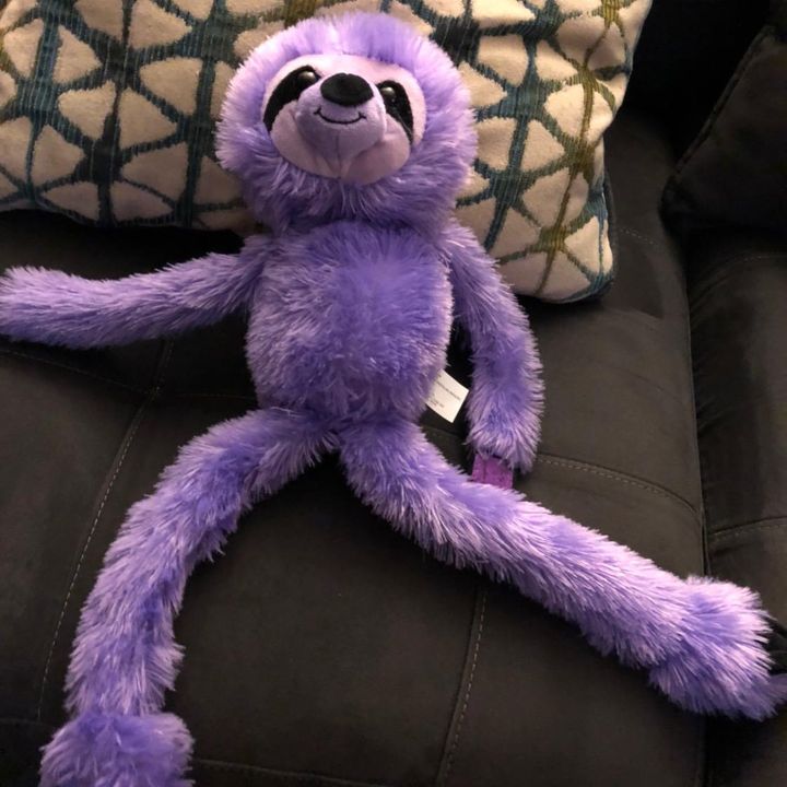David Appel - Tiktok Profile Picture of David Appel (@bobthesloth100) on Tiktok