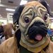 Profile Picture of Jonathan Steinbauer (@jonathan3006) on Pinterest