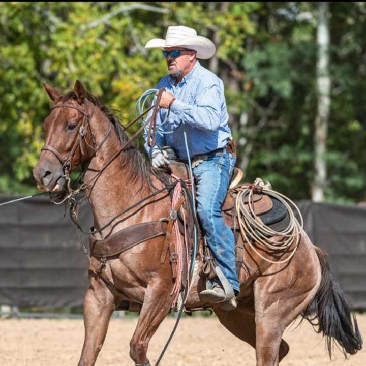 Profile Picture of Casey Cox (@caseycox105) on Tiktok