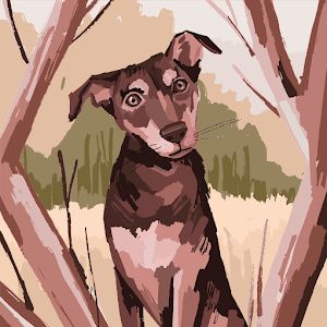 Charlotte Edmonds - Tiktok Profile Picture of Charlotte Edmonds (@charlotte.edmonds1) on Tiktok