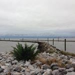 Profile Picture of Paula Reed Khalaf (@paula.khalaf) on Instagram