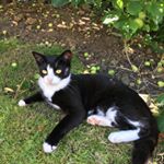 Profile Picture of Jill Pearce (@pearce.jill99) on Instagram