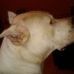 Profile Picture of Adrian Hickman (@adrian.hickman.779) on Facebook