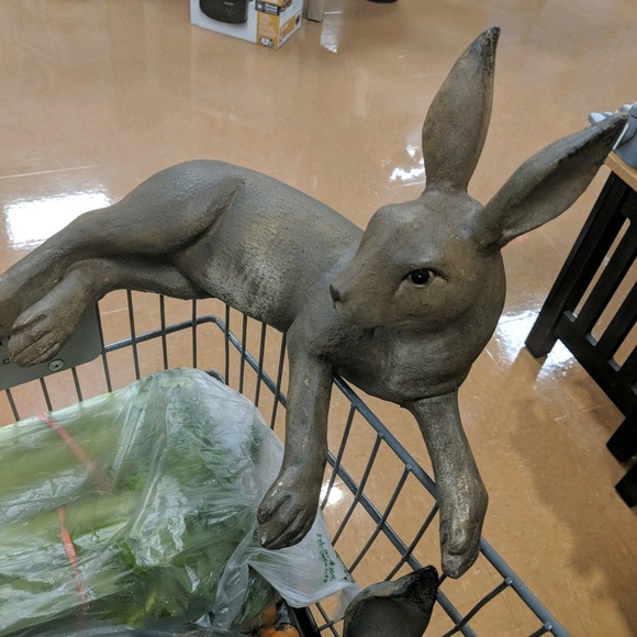 Brian Hochstetler - Poshmark Profile Picture of Brian Hochstetler (@c30bh3) on Poshmark