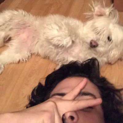 Profile Picture of Doctor Rigoㄣ⃒ (@Matt_rigo) on Twitter