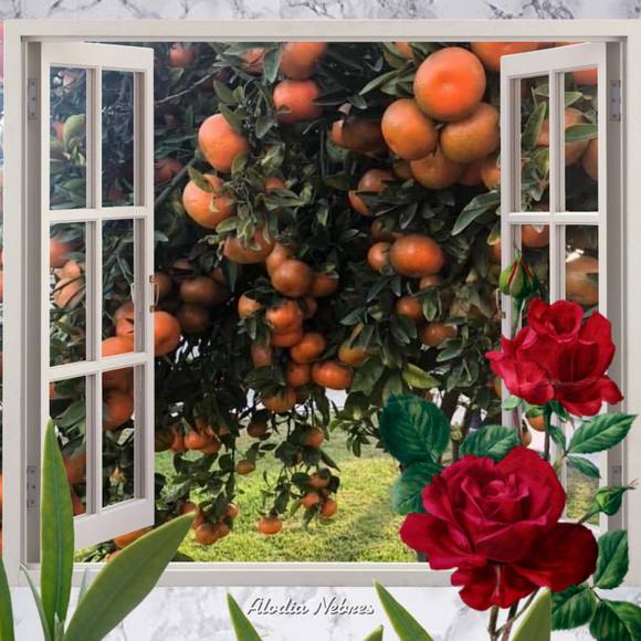 Profile Picture of Jose Pasillas (@josepasillas) on Poshmark