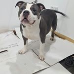 Profile Picture of larry johnson (@larry_dickson1234) on Instagram